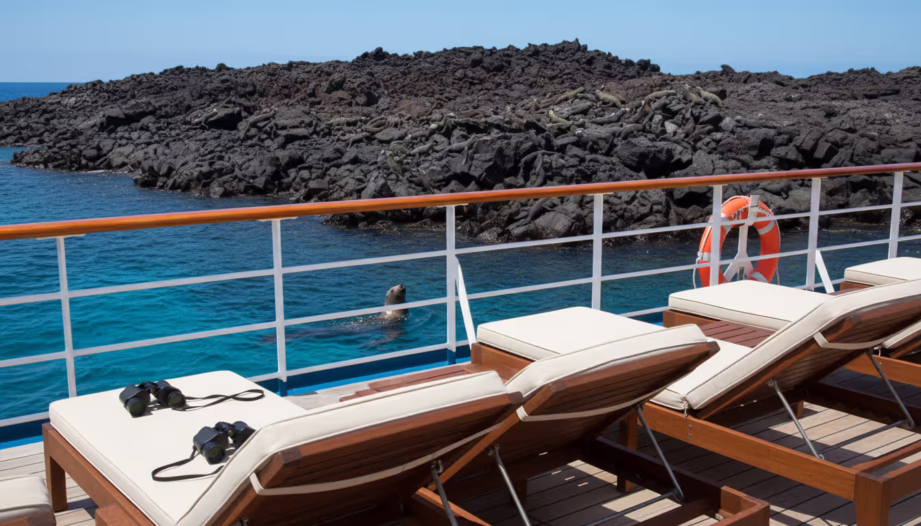 Luxury expedition yacht deck overlooking a volcanic Galapagos island with marine iguanas on black rocks and a sea lion swimming in turquoise water